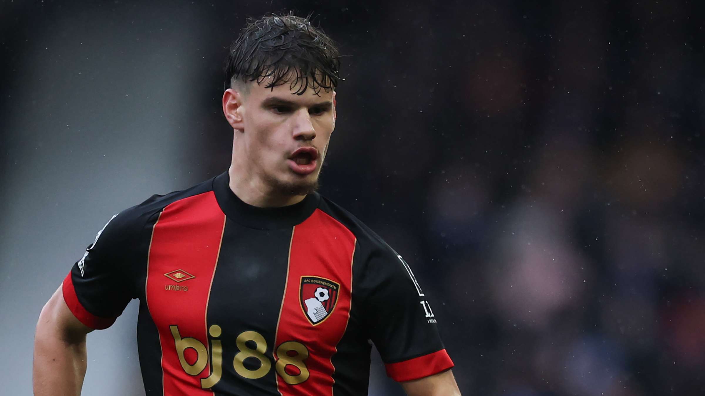 他們已經組 他們已經組