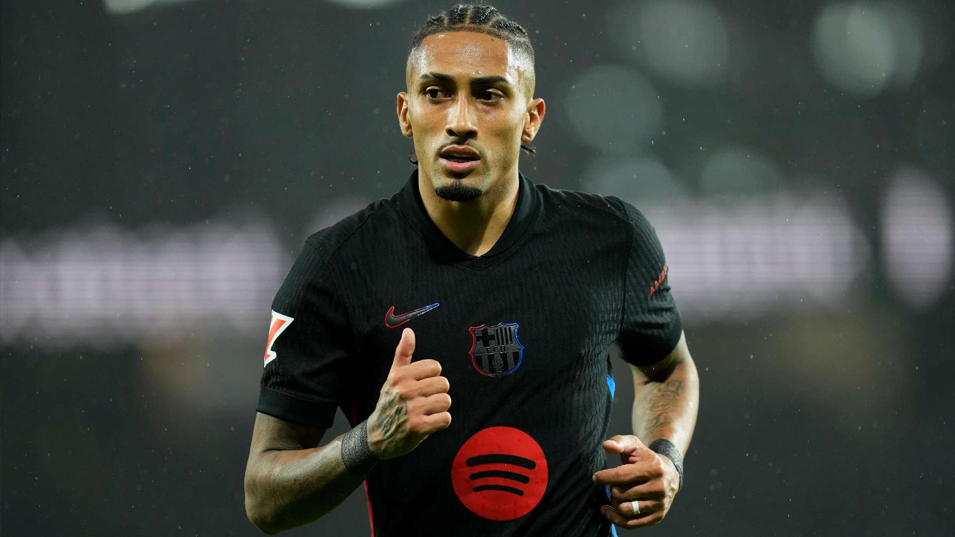 们的坚韧 们的坚韧